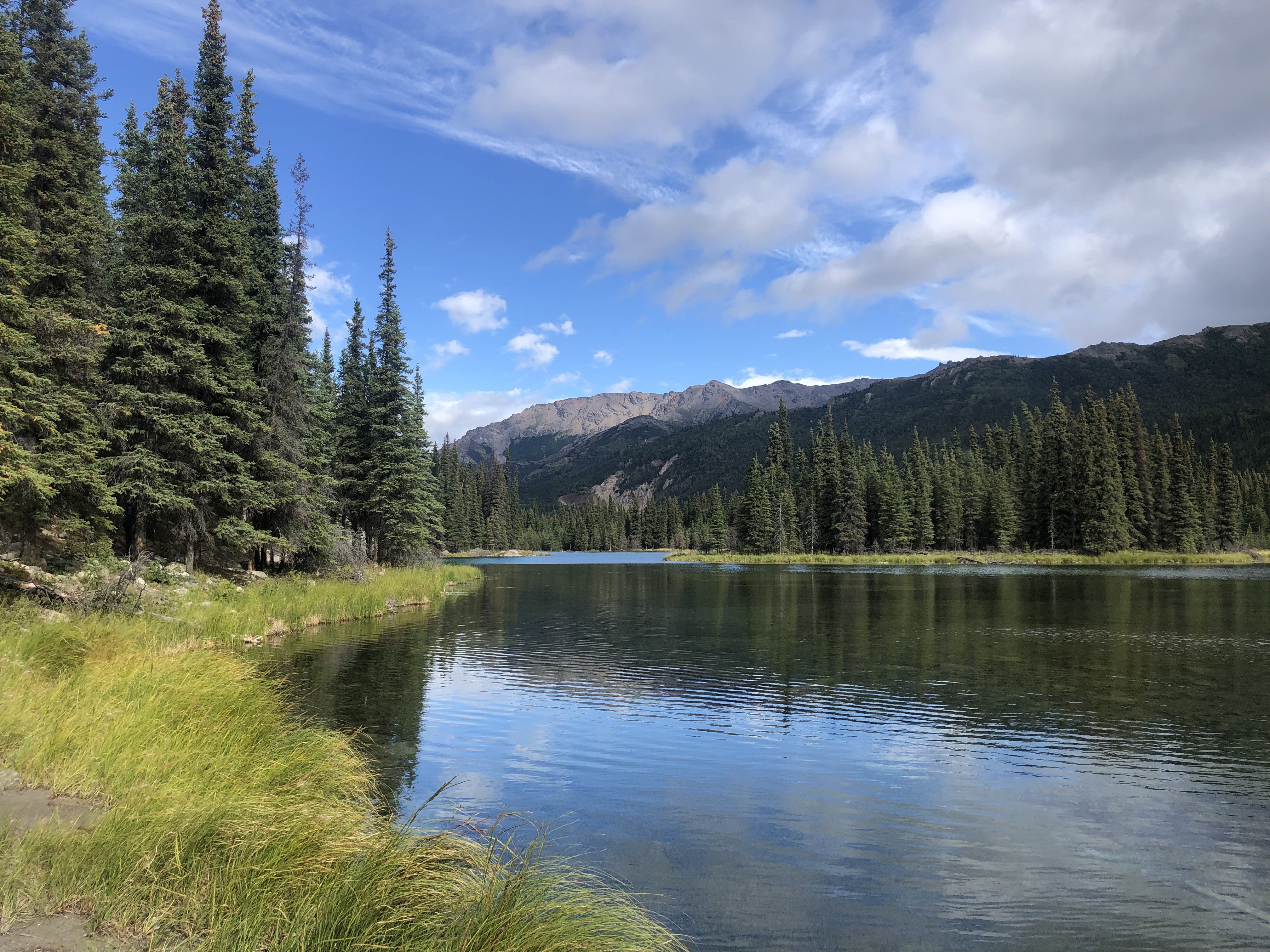 USA Alaska Denali National Park alpine lake