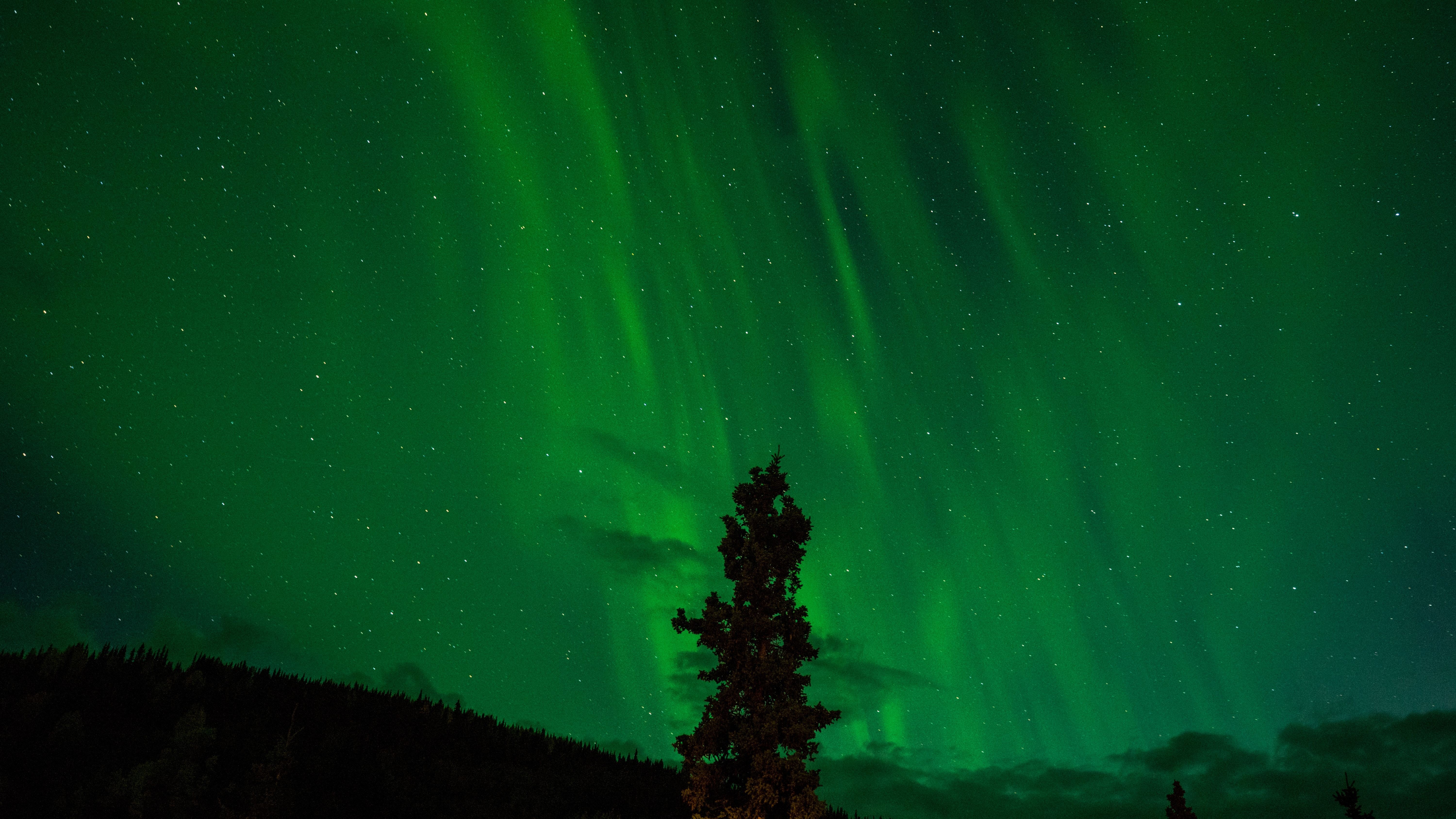 USA Alaska Denali National Park northern lights vashishtha jogi unsplash