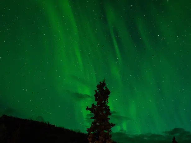 USA Alaska Denali National Park northern lights vashishtha jogi unsplash