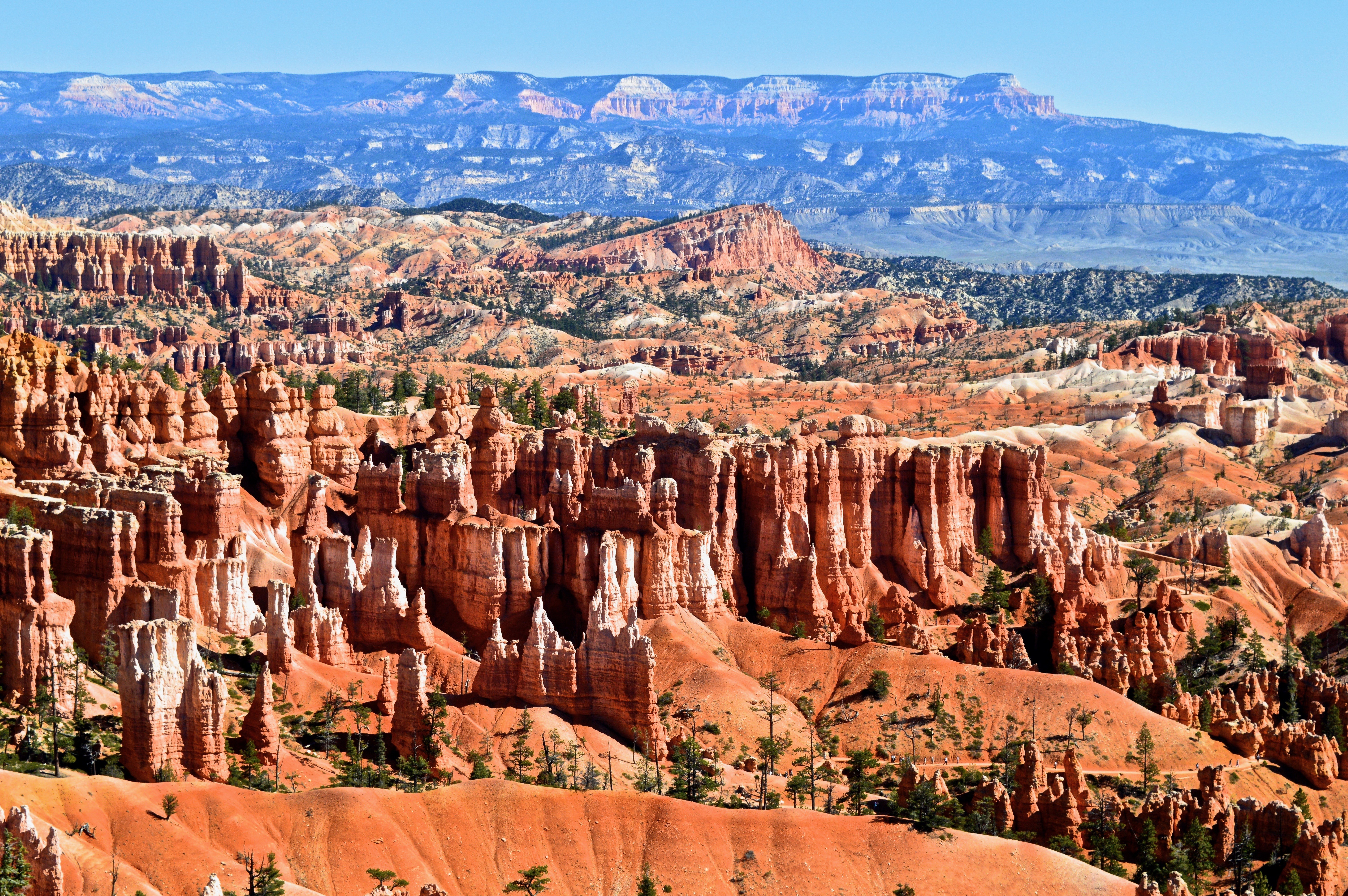 Rote Felssäulen im Bryce Canyon in den USA