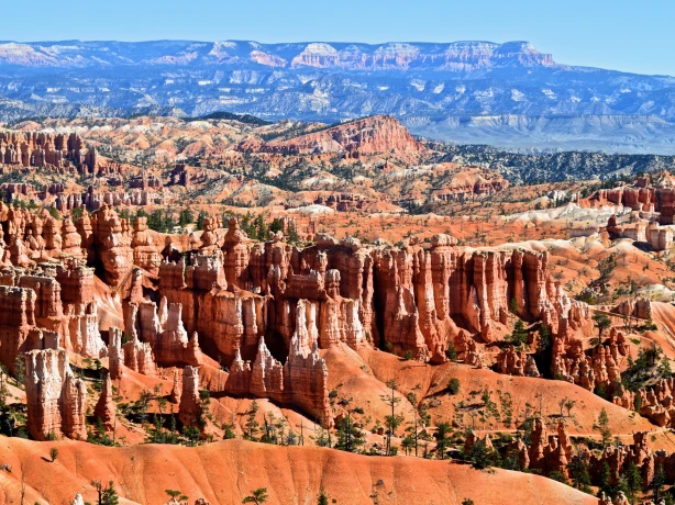 Rote Felssäulen im Bryce Canyon in den USA