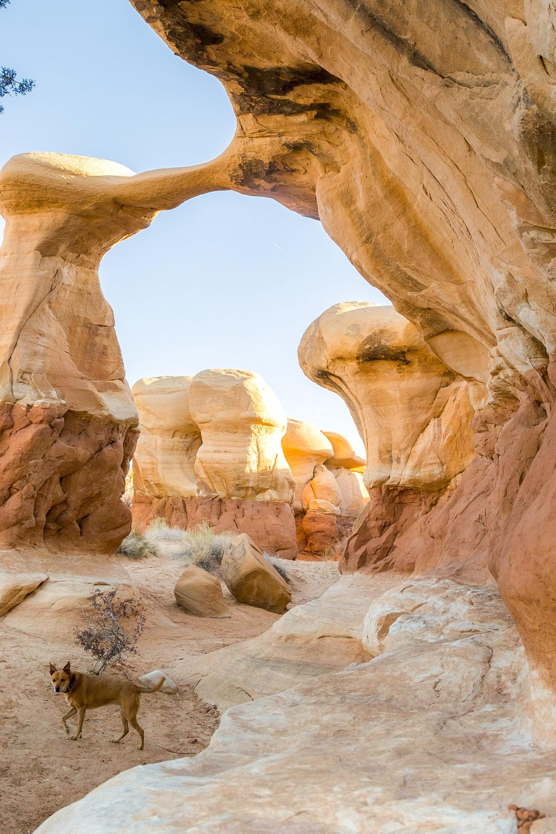 USA Utah Kanab Grand Staircase Escalante