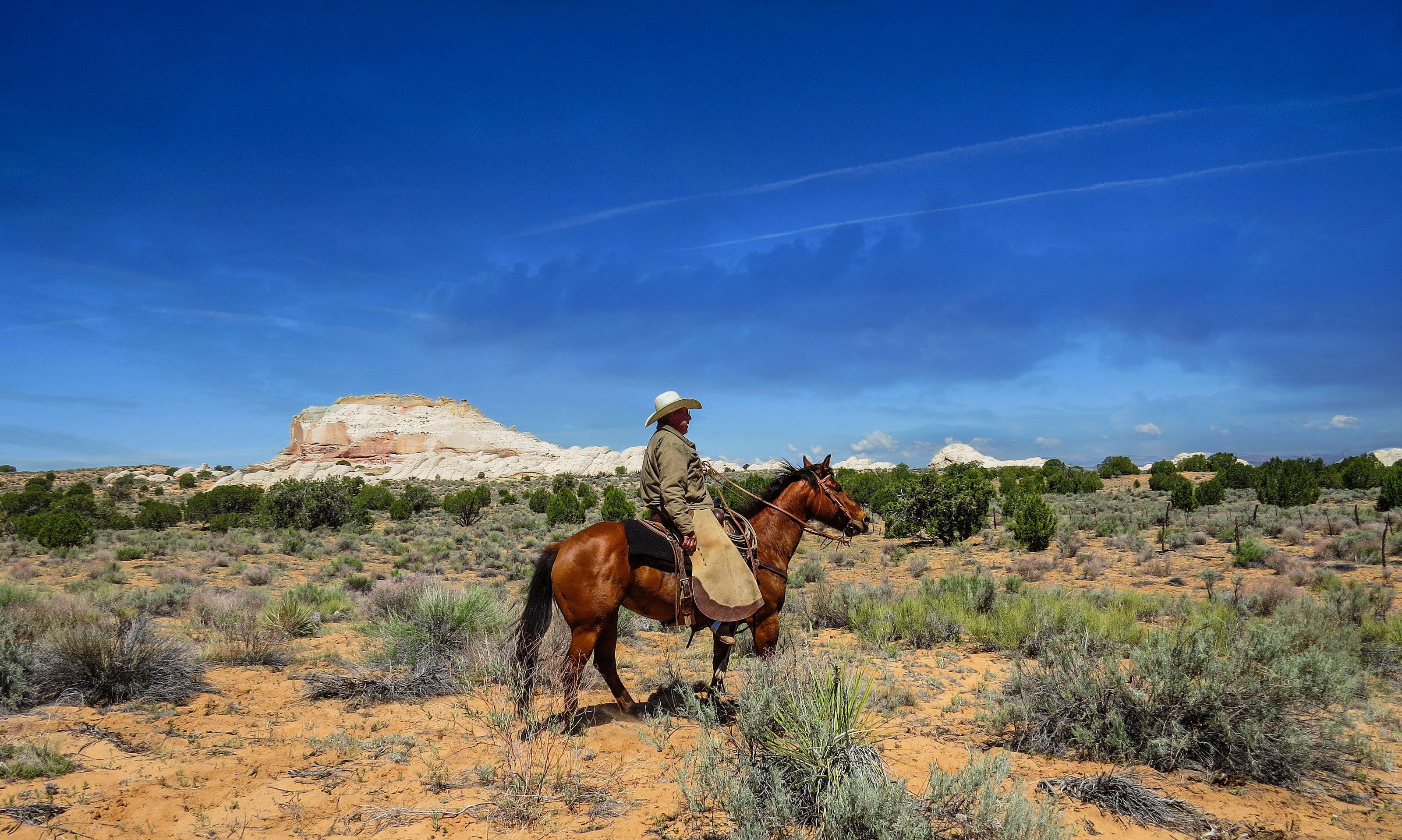 USA Utah Kane county Reiter