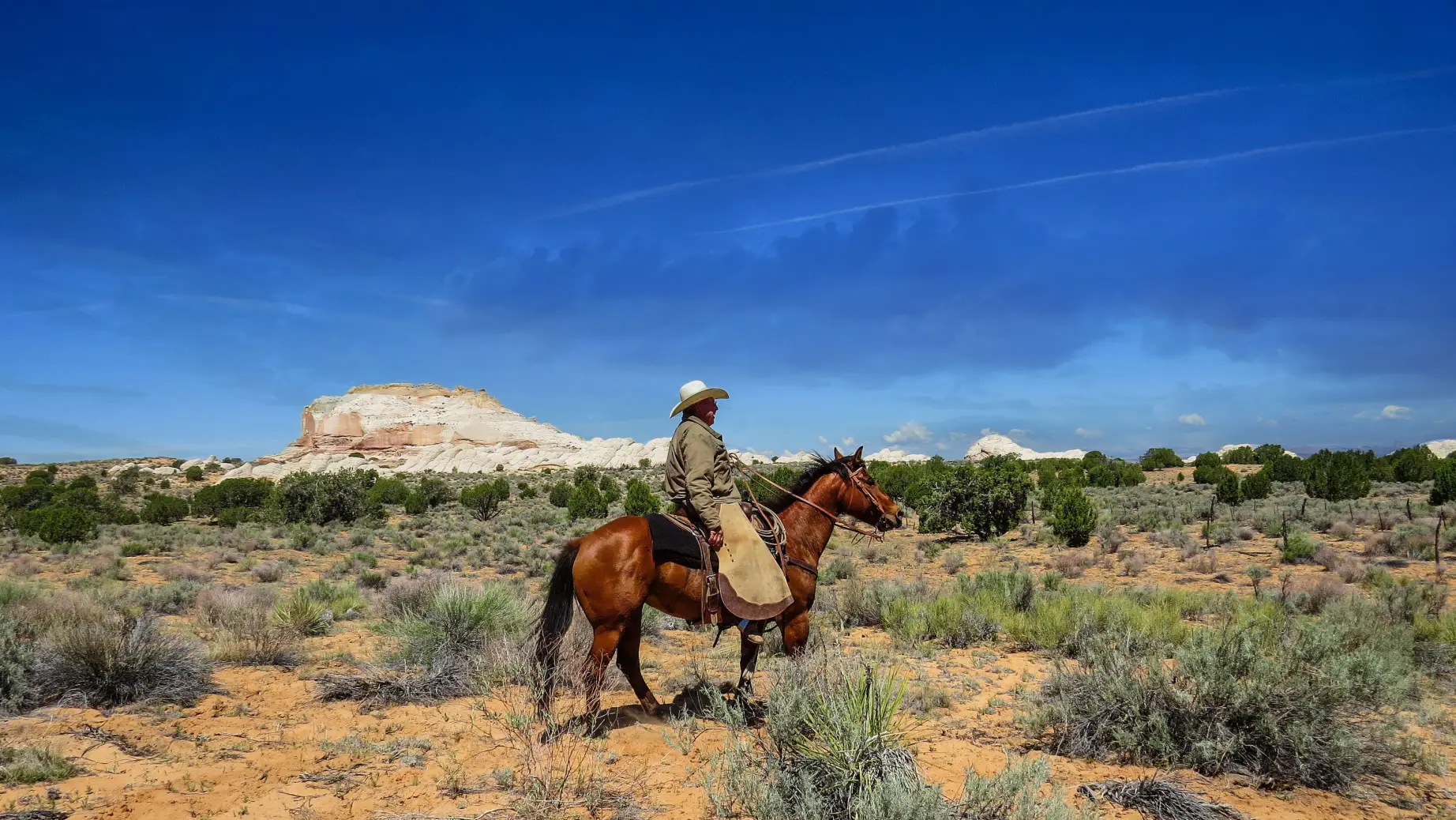 USA Utah Kane county Reiter
