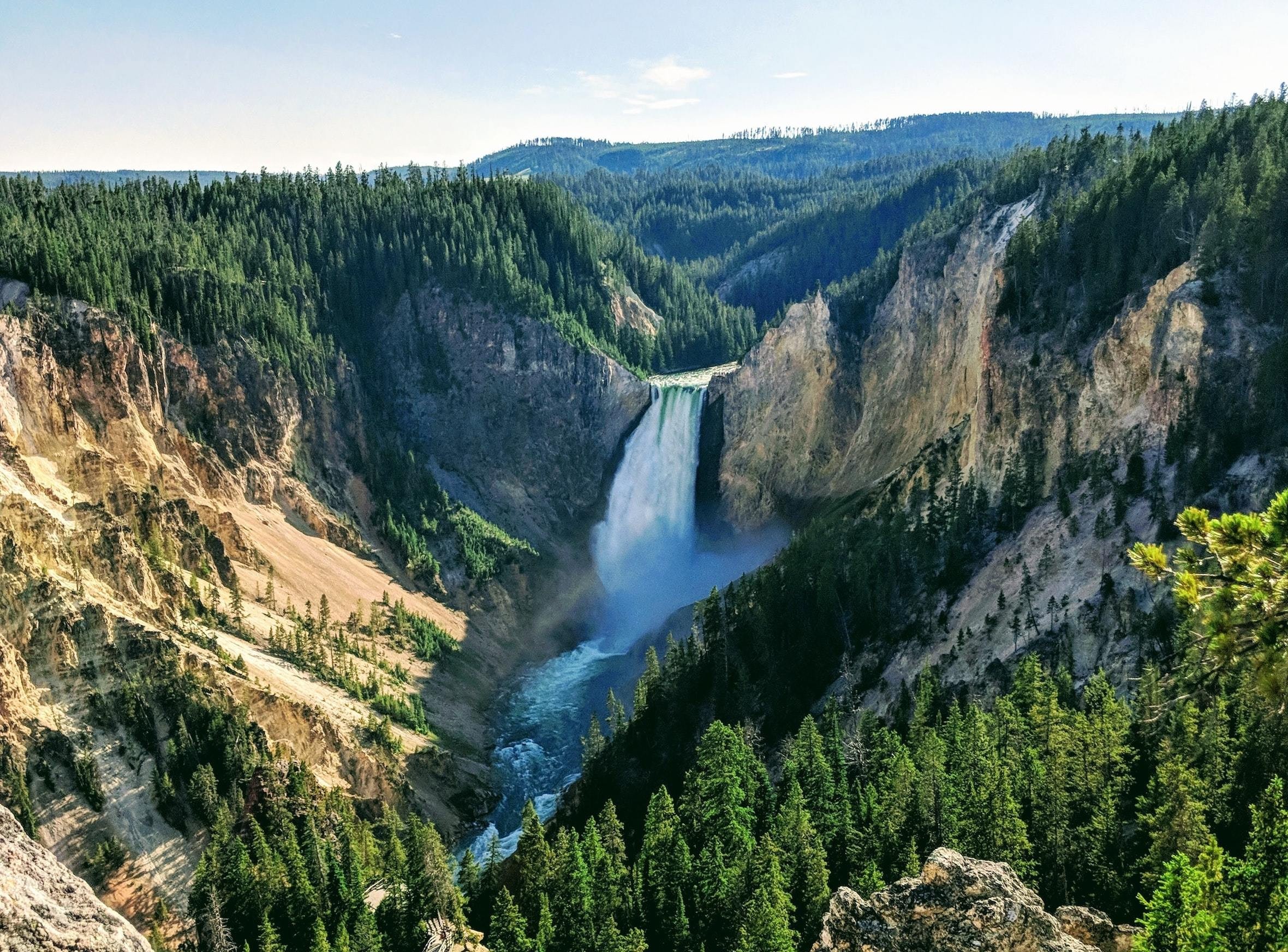A powerful waterfall in Yellowstone National Park, surrounded by green pine trees