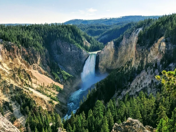 A powerful waterfall in Yellowstone National Park, surrounded by green pine trees