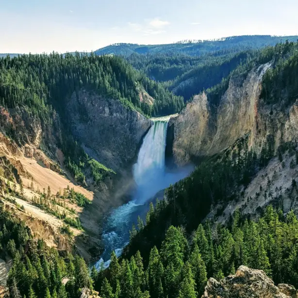 A powerful waterfall in Yellowstone National Park, surrounded by green pine trees