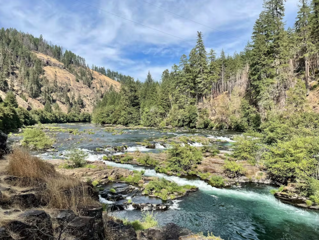 USA Nordwesten Oregon Umpqua National Forest