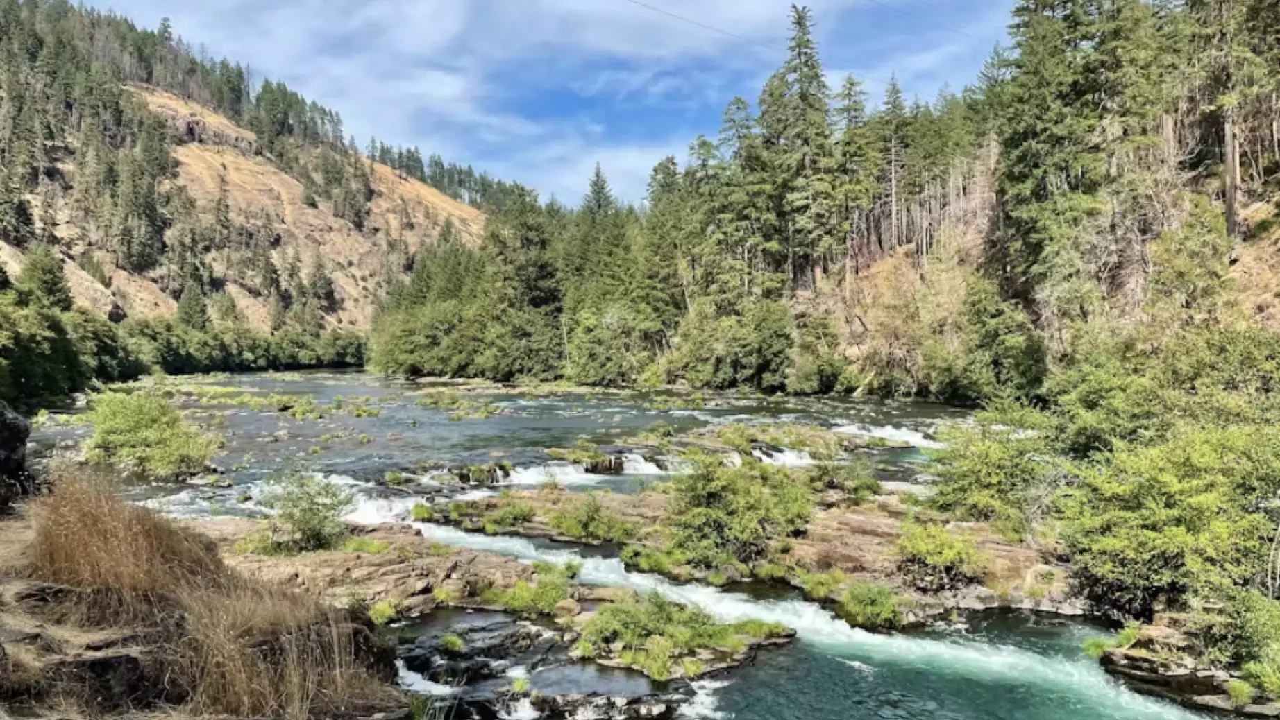 USA Nordwesten Oregon Umpqua National Forest