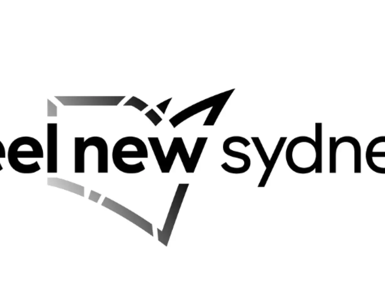 Logo DNSW