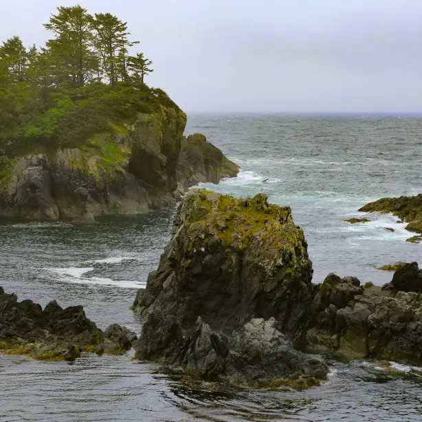 Mike benna unsplash wld pacific trail canada blog