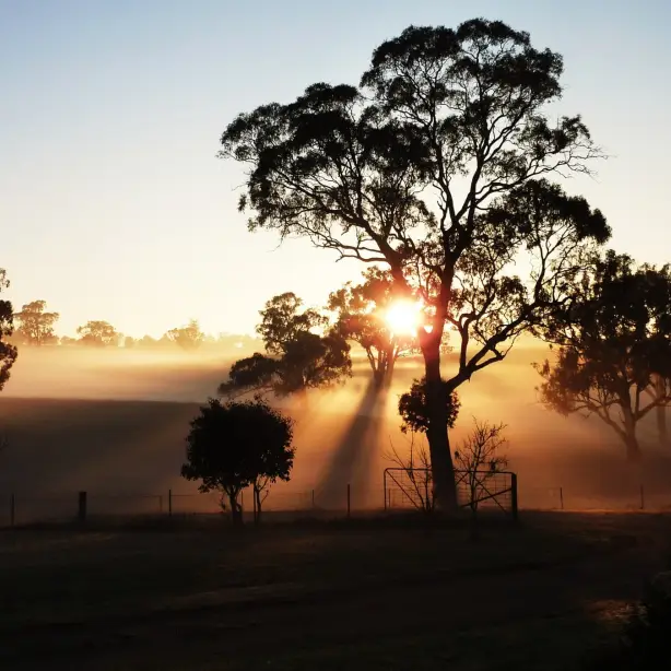 Australien New South Wales Outback