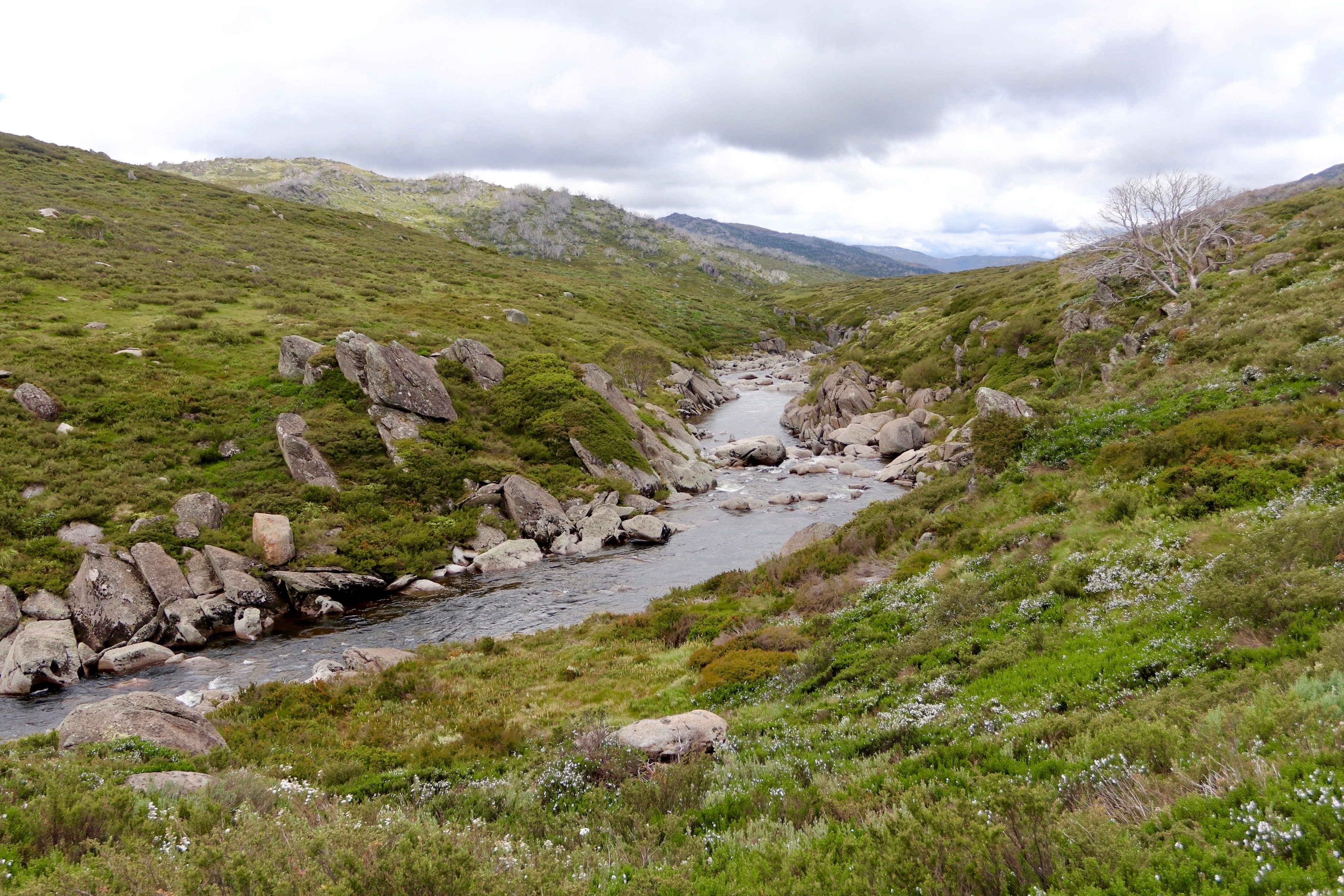 Australien New South Wales kosciuszko nationalpark