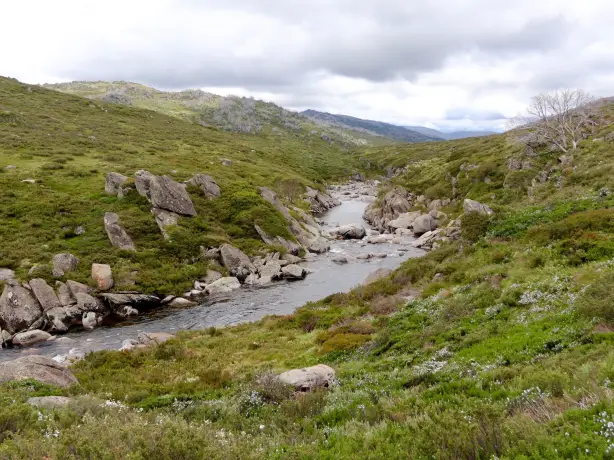 Australien New South Wales kosciuszko nationalpark