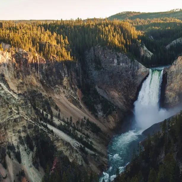 Aussicht auf den Wasserfall des Grand Canyons im Yellowstone Nationalpark