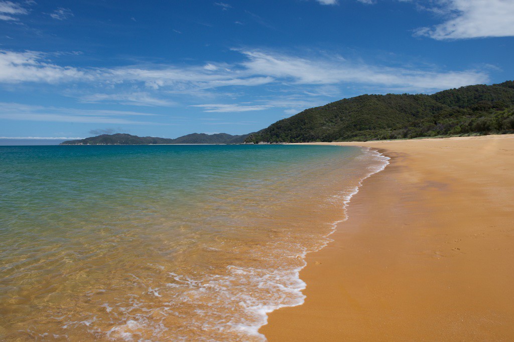 Golden bay