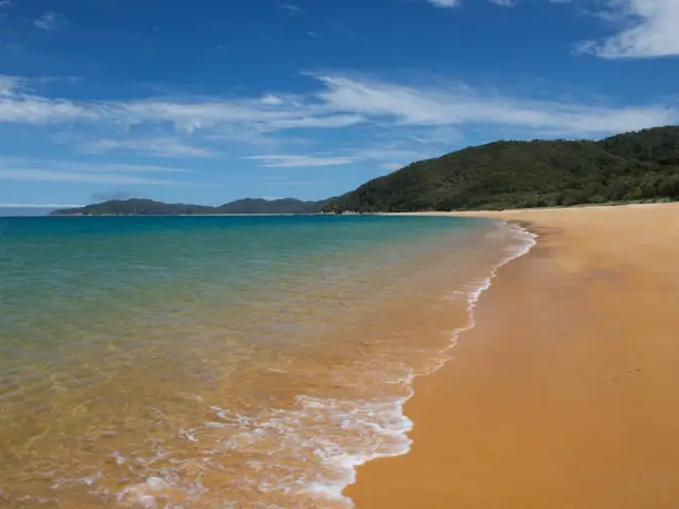 Golden bay