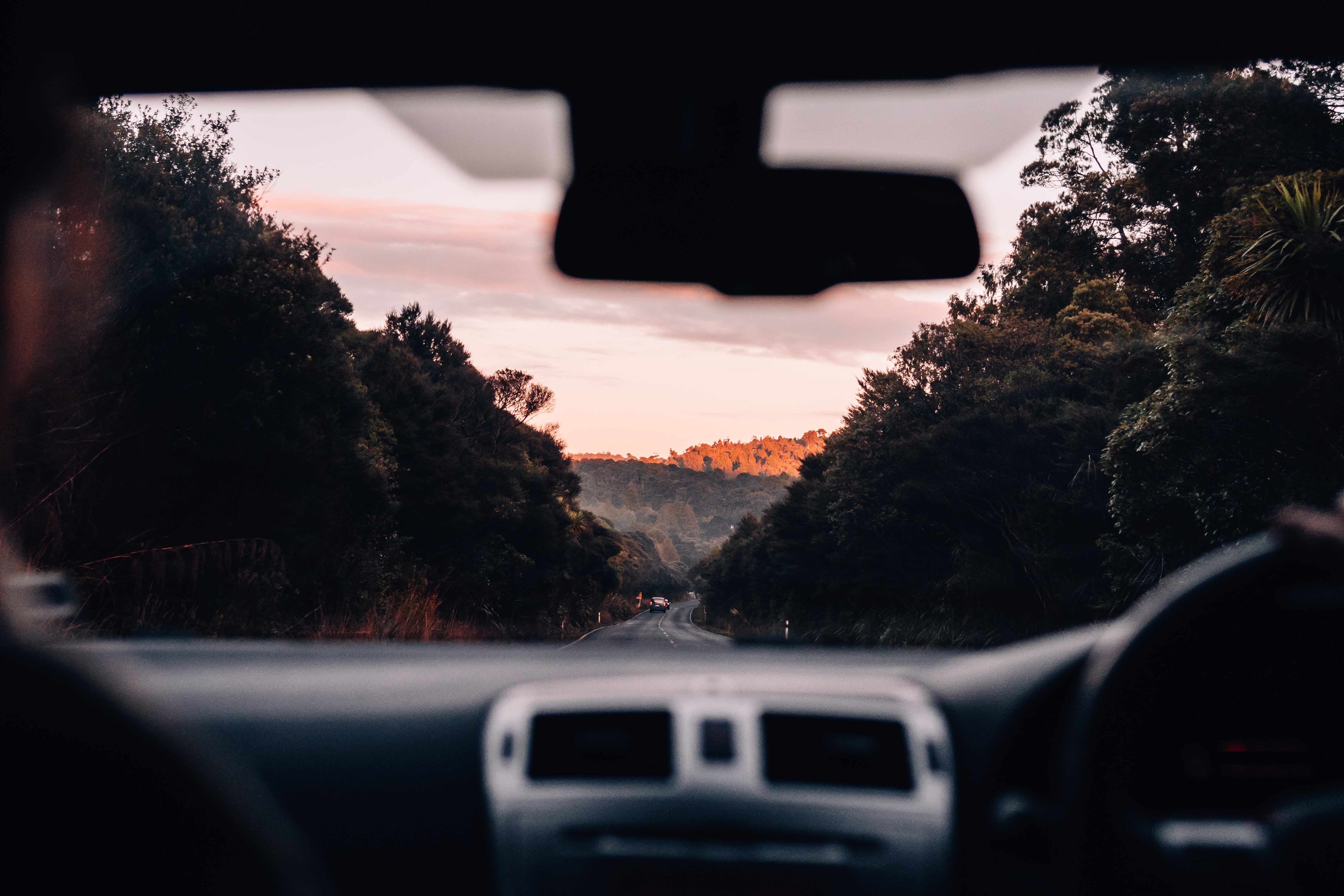 nz-north-auckland-piha-driving.jpg