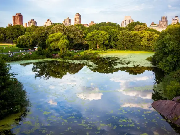 USA New York Central Park