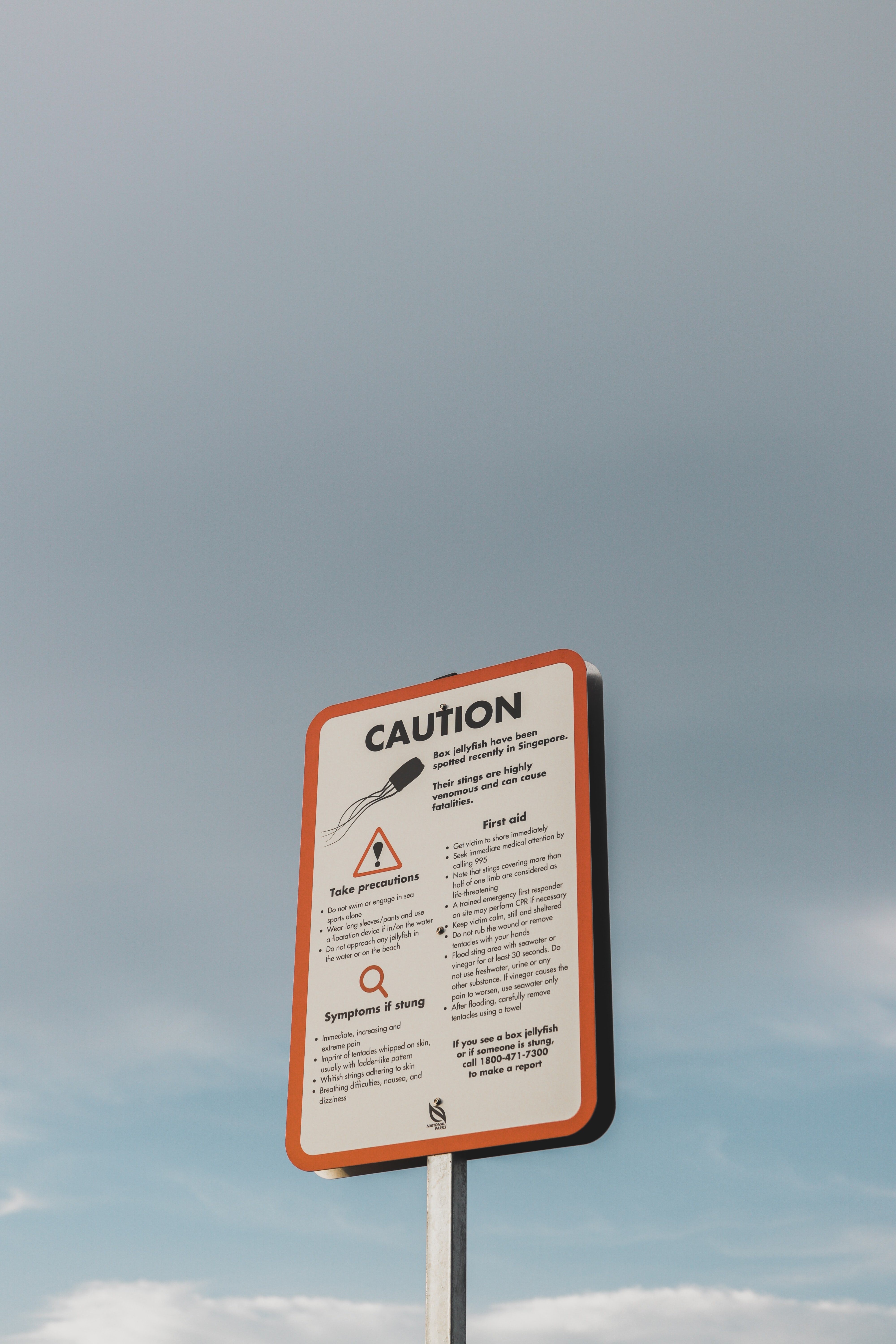 singapore-warning-sign-box-jellyfish.jpg