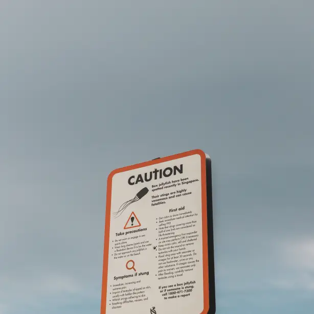 singapore-warning-sign-box-jellyfish.jpg