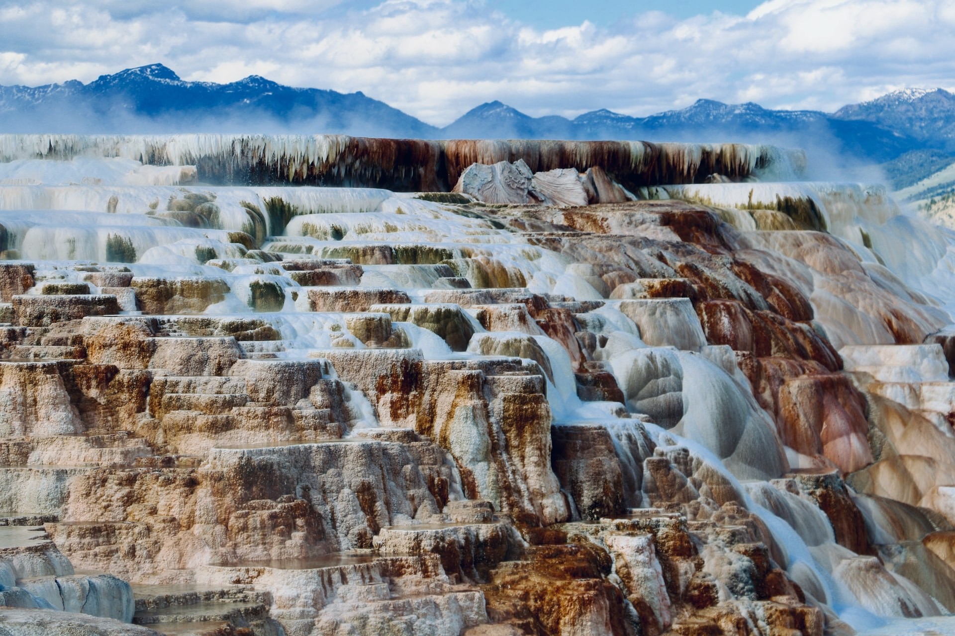 Weiße Kalksteinterrassen mit heißen Quellen im Yellowstone Nationalpark, vor einer Bergkulisse