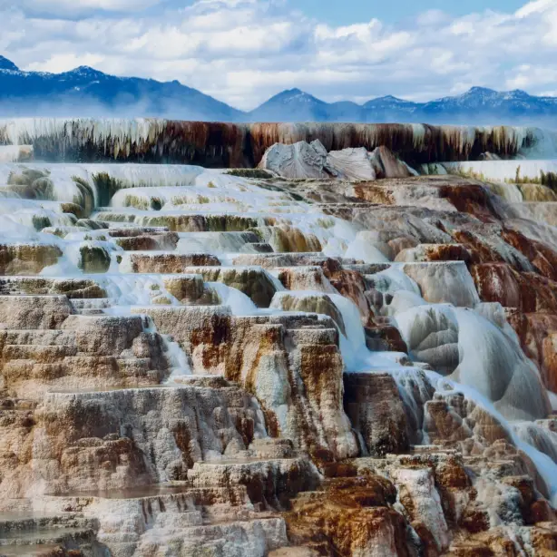 Weiße Kalksteinterrassen mit heißen Quellen im Yellowstone Nationalpark, vor einer Bergkulisse