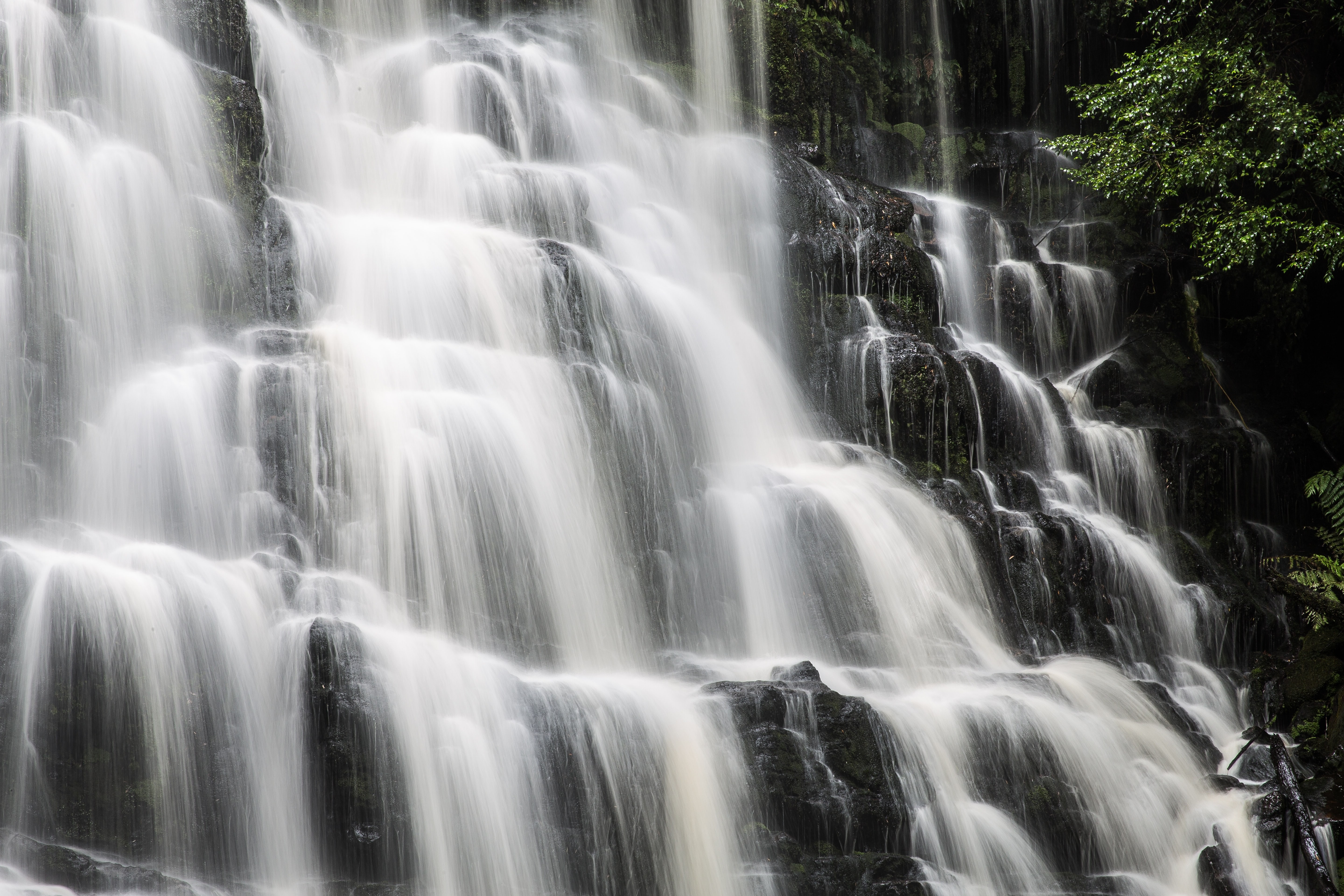 Australien tasmanien liffey falls wasserfall