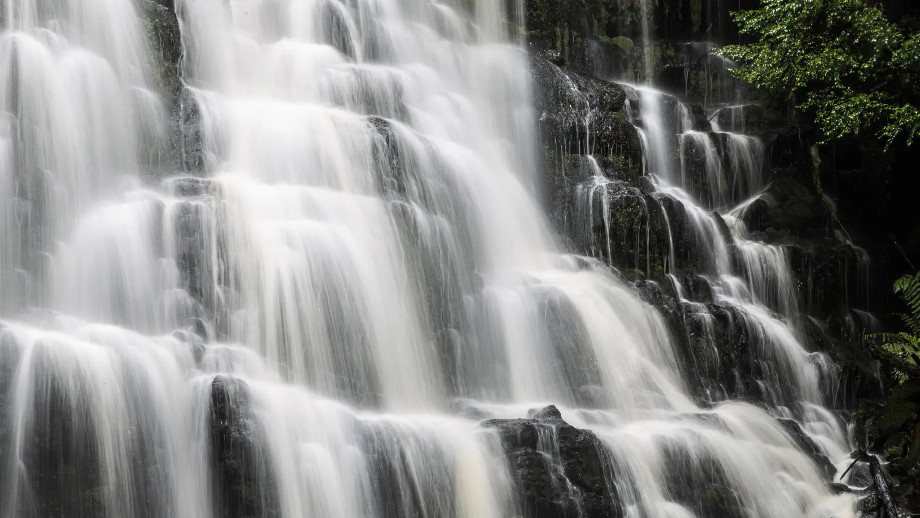 Australien tasmanien liffey falls wasserfall