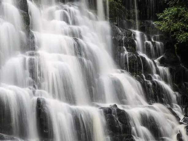 Australien tasmanien liffey falls wasserfall