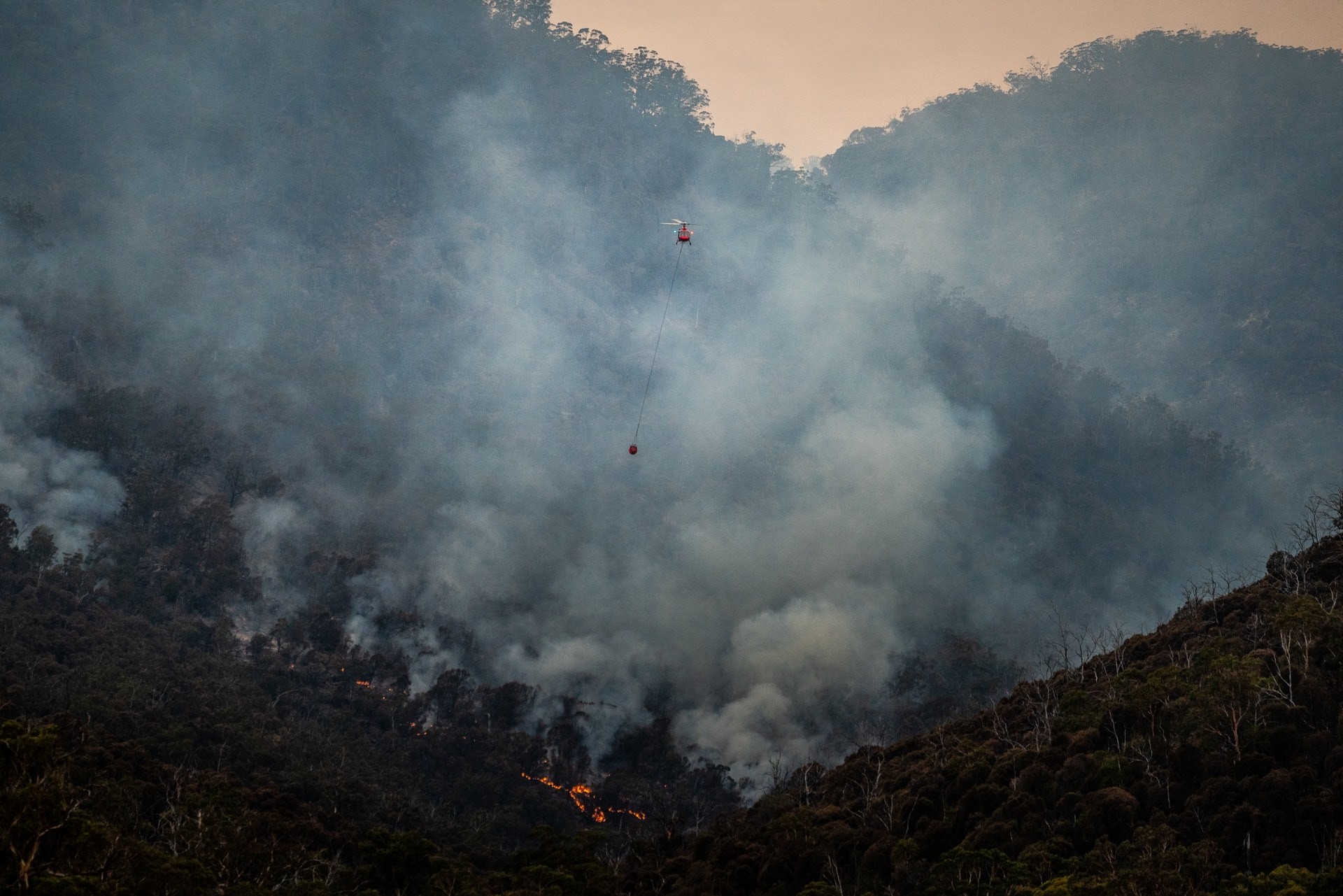 aus-tas-fingal-fight-against-bush-fire.jpg
