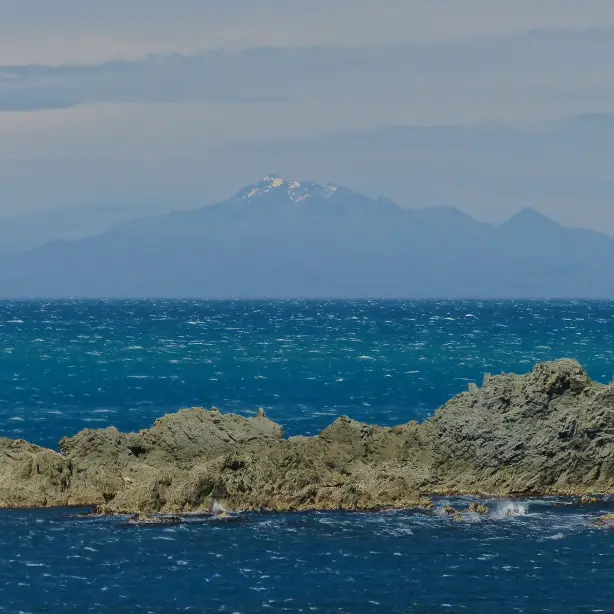 neuseeland wellington red rock coastal walk bucht