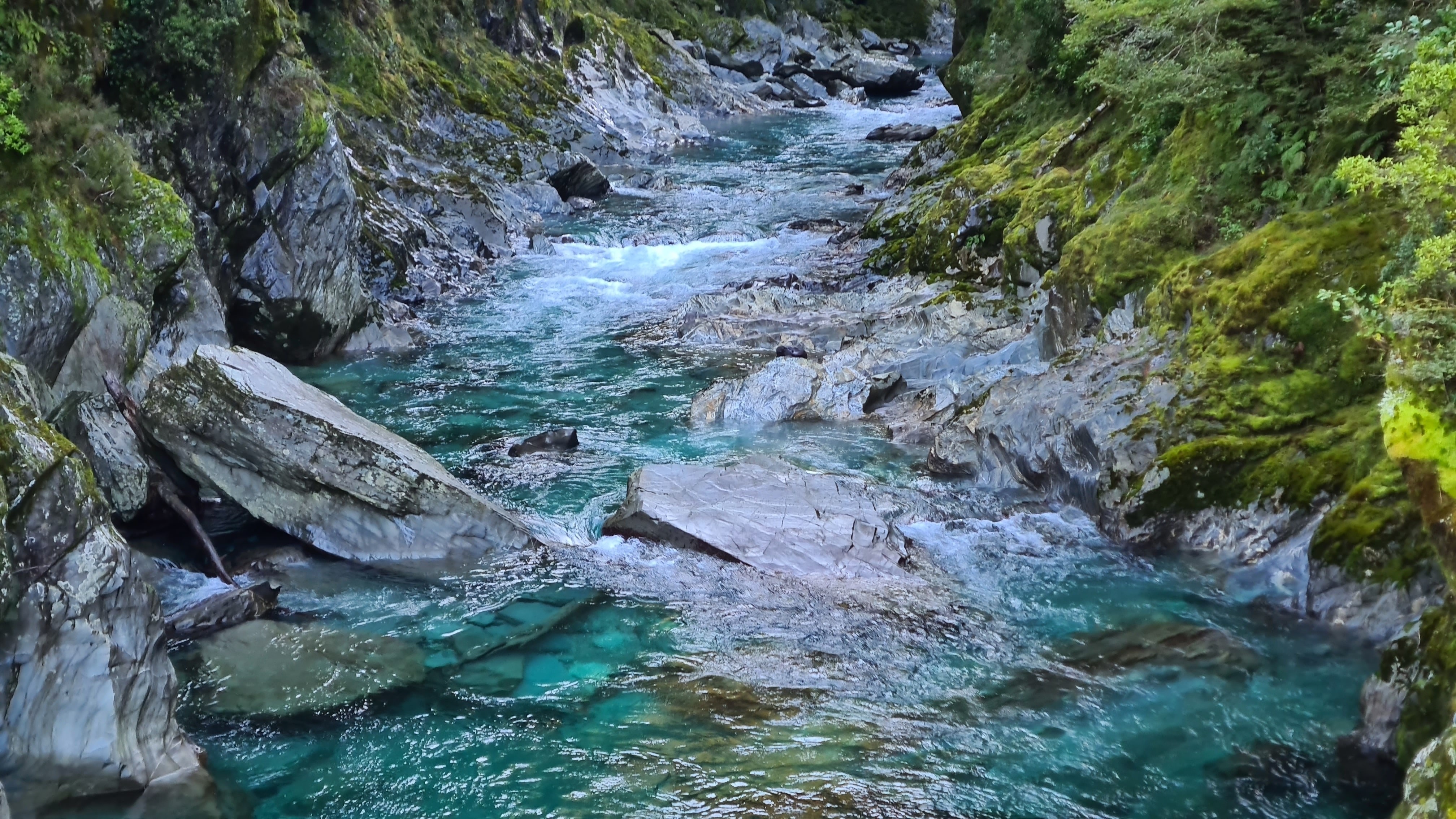Blue Pool Track im Mount Aspiring Nationalpark