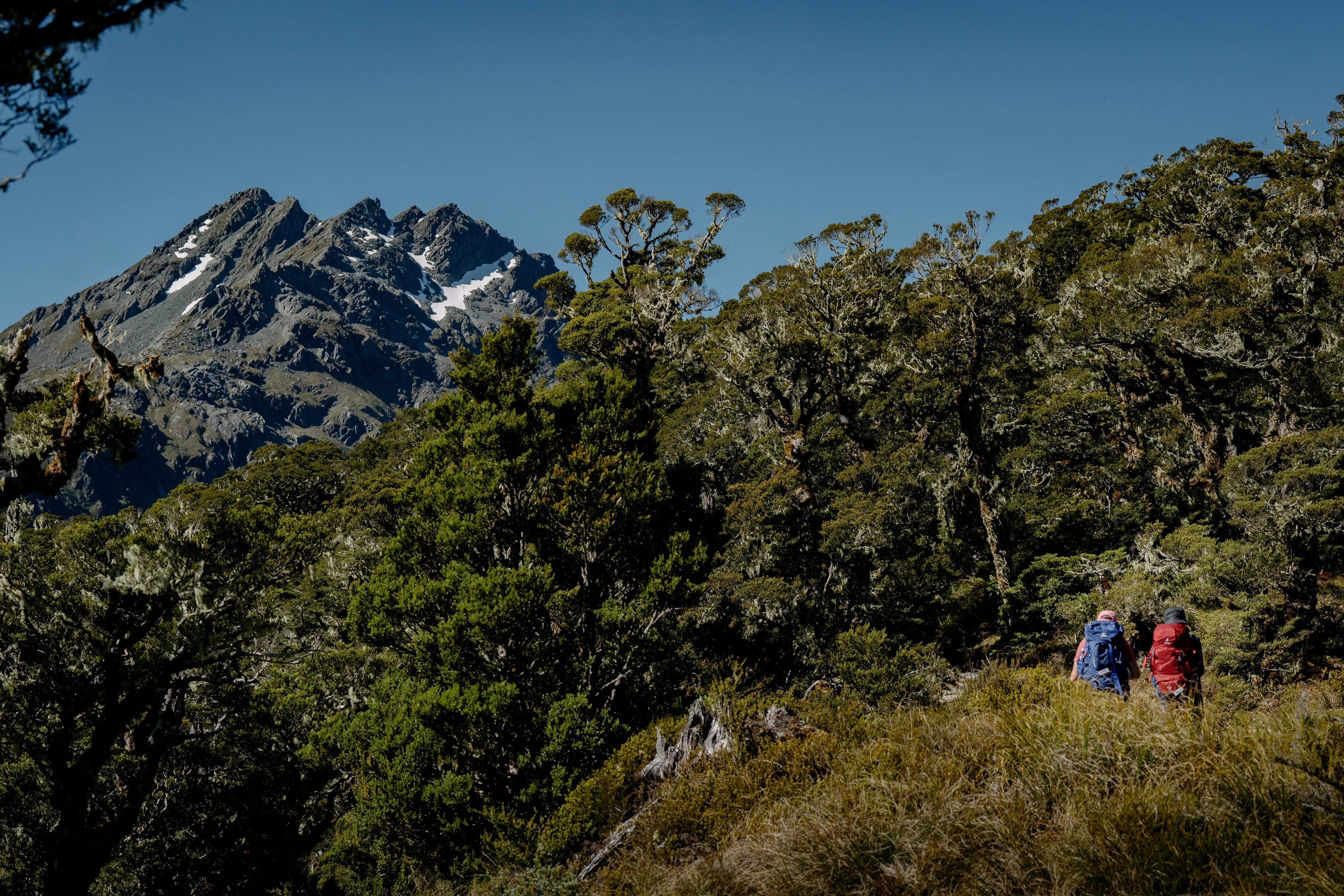 Routeburn Track im Mount Aspiring Nationalpark