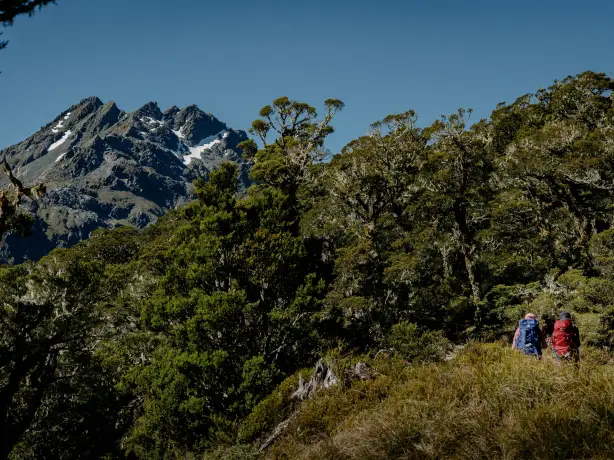 Routeburn Track im Mount Aspiring Nationalpark