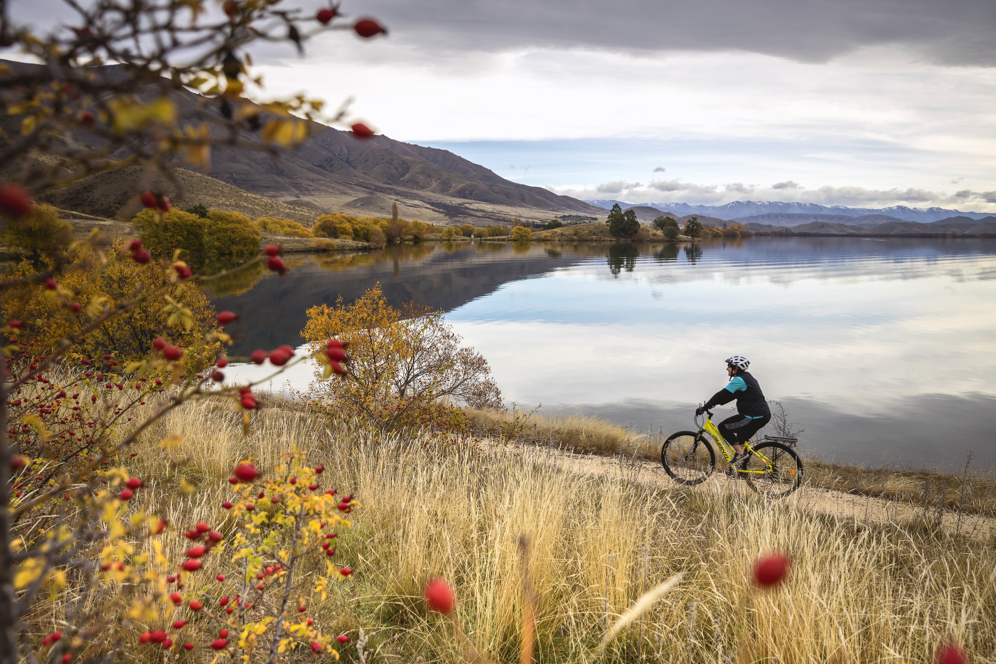 nz-south-wanaka-biking
