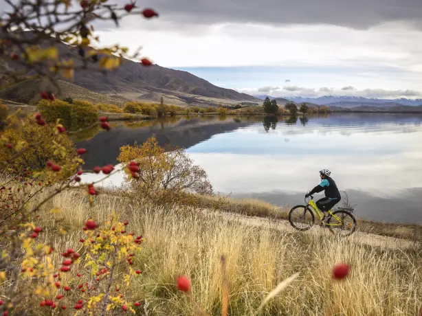 nz-south-wanaka-biking