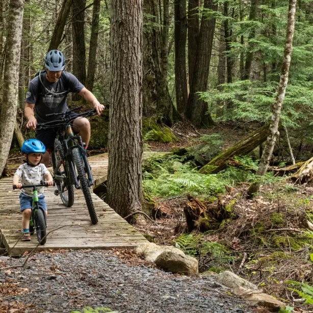 Man en kind op mountainbike in het bos, New England