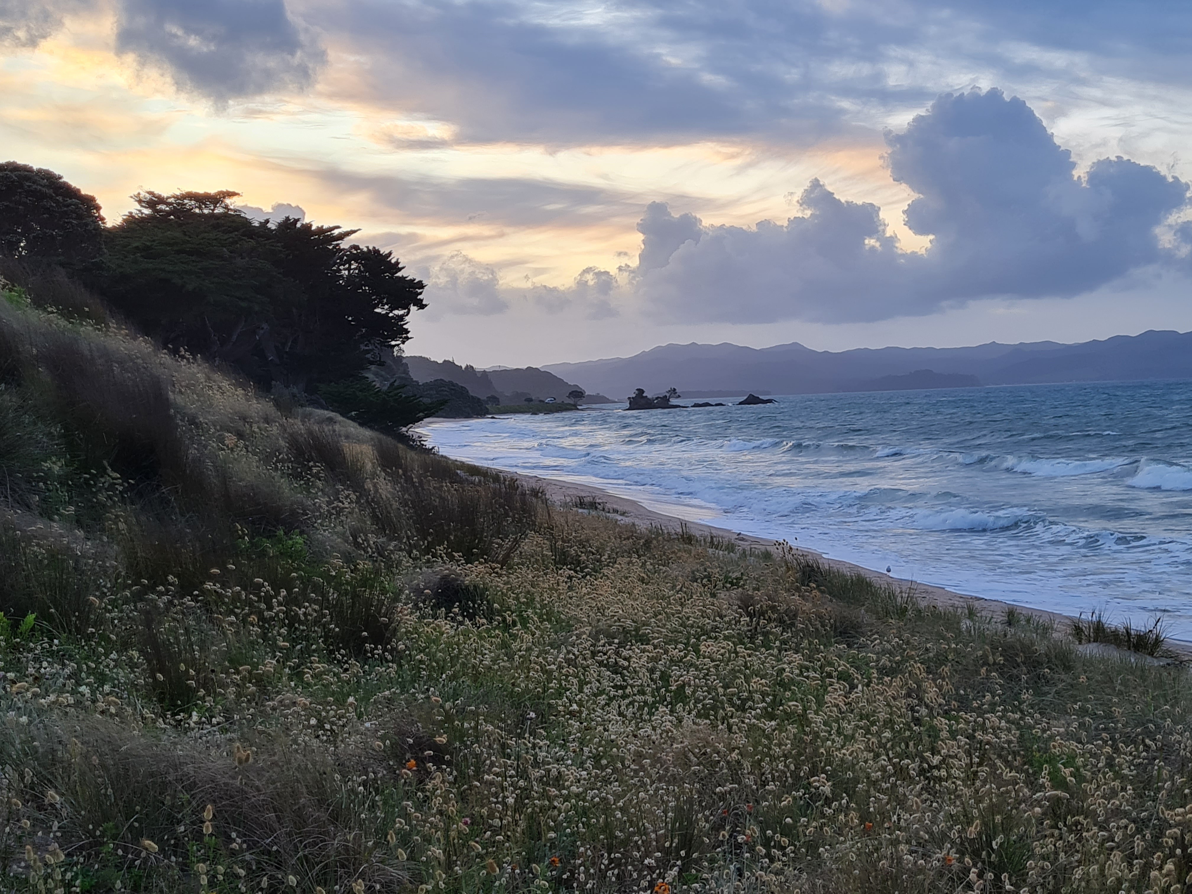 Newzealand north Coromadel2 clients wenzel
