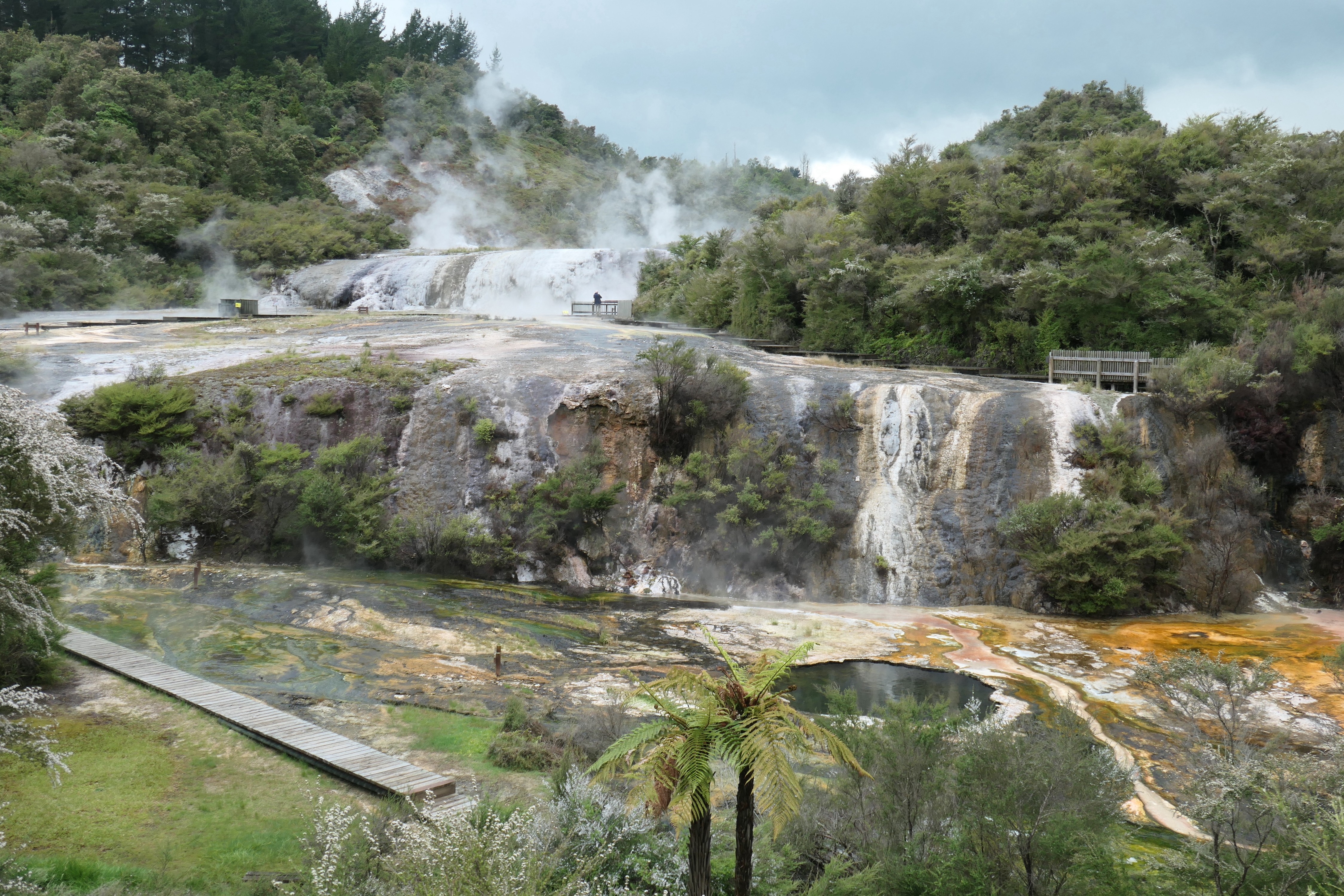 Newzealand north Rotorua clients wenzel