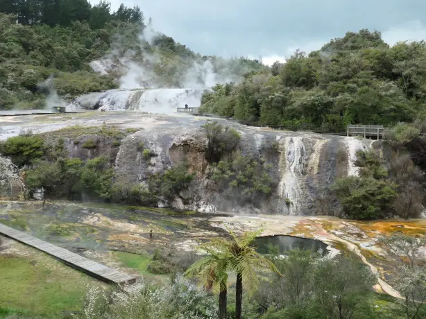 Newzealand north Rotorua clients wenzel