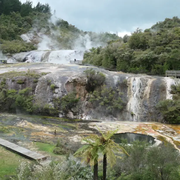 Newzealand north Rotorua clients wenzel