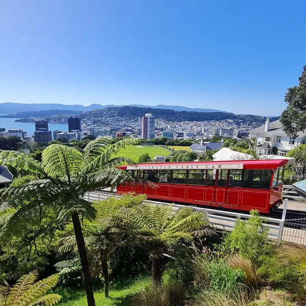 Wellington Cable Car und Ausblick auf die Stadt