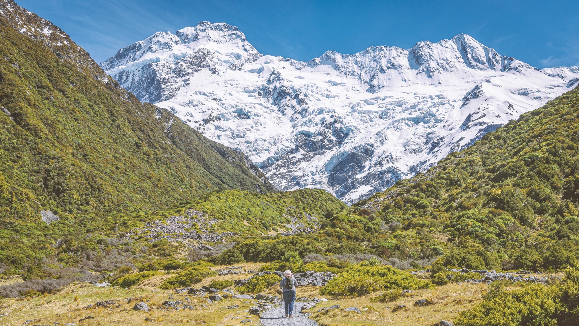Ein einzelner Wanderer mit Wanderstöcken auf einem Weg durch alpines Buschland in Richtung der schneebedeckten Gipfel des Aoraki Mount Cook Nationalparks, Neuseeland