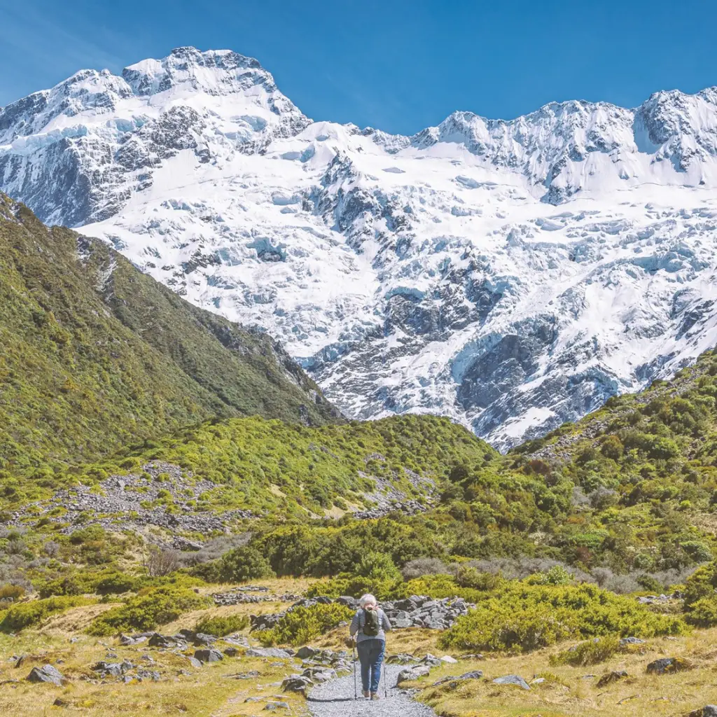 Een solo-wandelaar met wandelstokken op een pad door alpien struikgewas, op weg naar de met sneeuw bedekte toppen van het Aoraki Mount Cook National Park, Nieuw-Zeeland