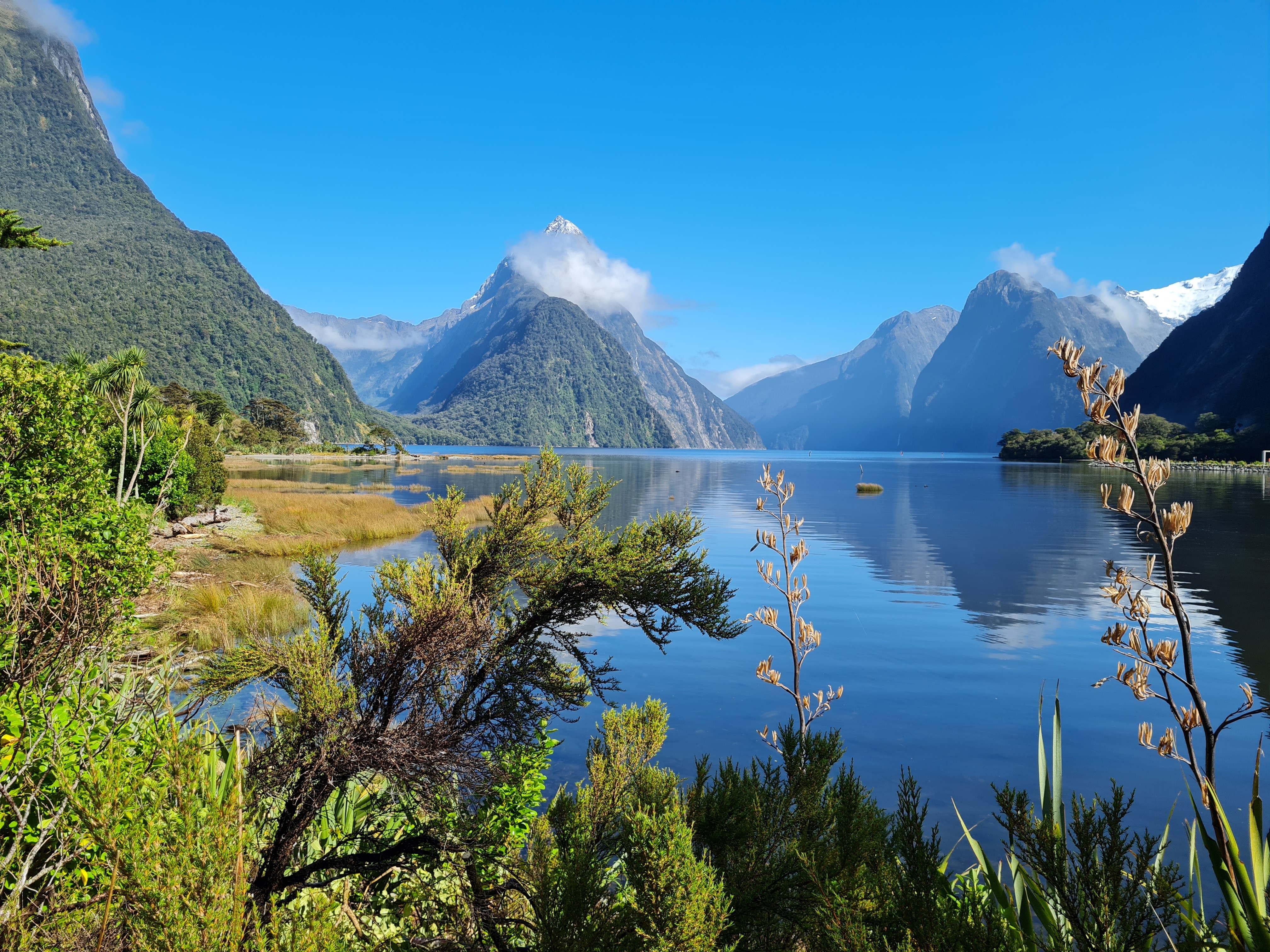 Blick über einen See im südlichen Fiordland Milford Wenzel Neuseeland