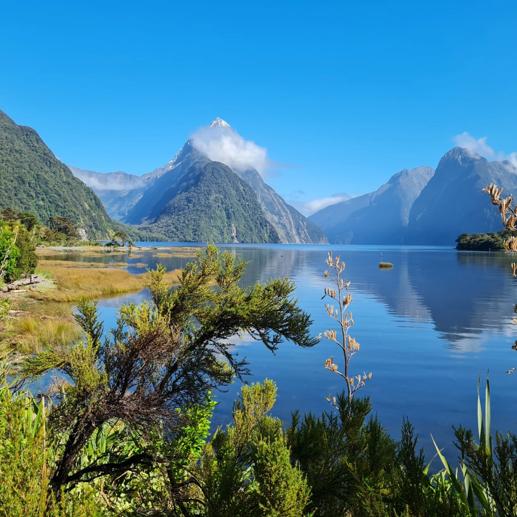 Blick über einen See im südlichen Fiordland Milford Wenzel Neuseeland