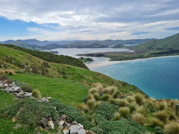 Newzealand south otagopeninsula clients wenzel