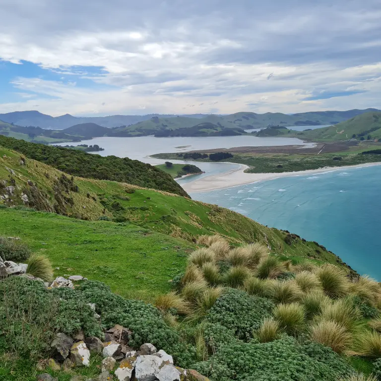 Newzealand south otagopeninsula clients wenzel