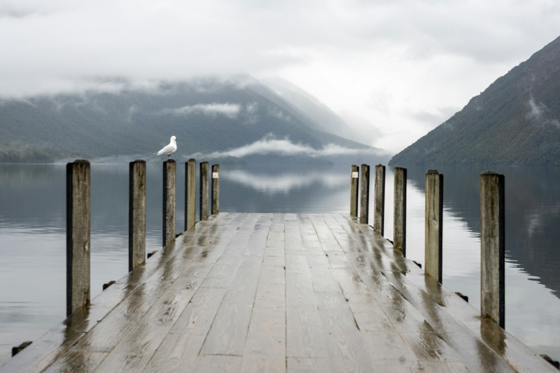 Steg an See mit Möwe und Bergen im Hintergrund